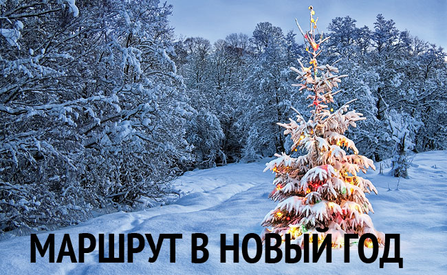 Считается Ли Новый Год Семейным Праздником