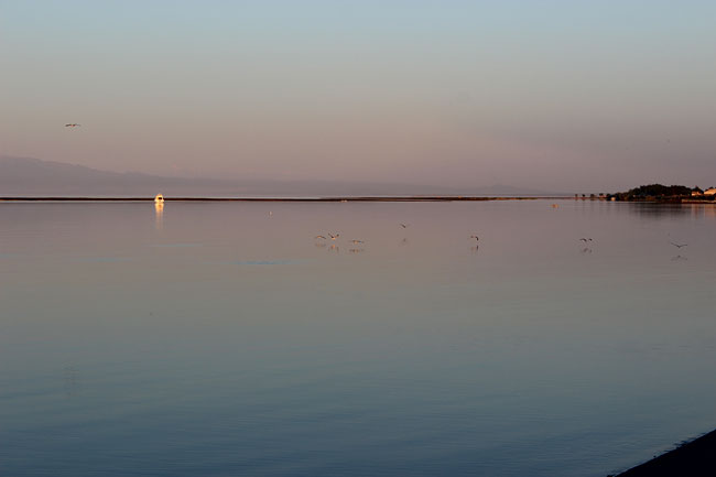 какая рыба водится на озере алаколь. Смотреть фото какая рыба водится на озере алаколь. Смотреть картинку какая рыба водится на озере алаколь. Картинка про какая рыба водится на озере алаколь. Фото какая рыба водится на озере алаколь